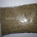 New Crop Exported Quality Cumin Seeds